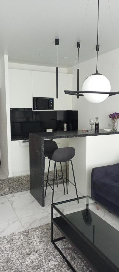 New Modern Apartment Oezjhorod Buitenkant foto
